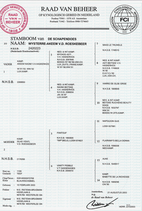 Stamboom Sterre van de roeskebeer
