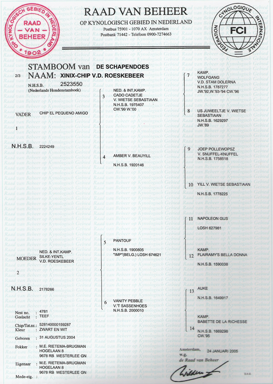 Stamboom Xinix van de roeskebeer